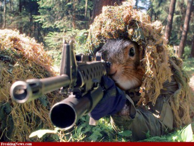 Sniper-Squirrel-30002.jpg