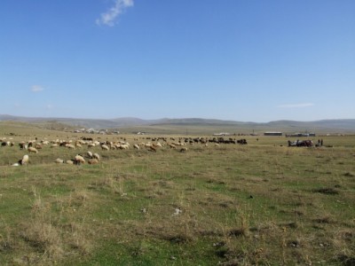 V noci sice mrzlo ale rano bylo uzasny....Krajina pripomina Mongolsko