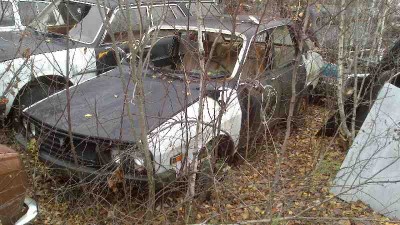 Foto3.jpg