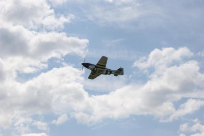 mustang z hoškovic-forum.jpg