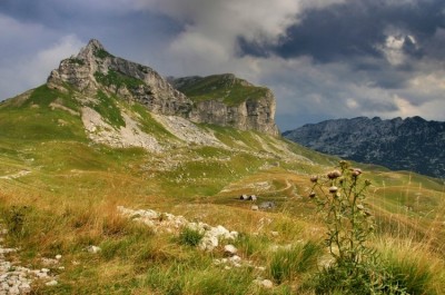 Čierna Hora - NP Durmitor