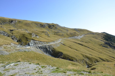 Transalpina.