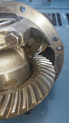 20190901_131918.jpg