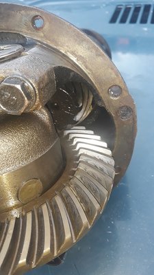 20190901_130915.jpg