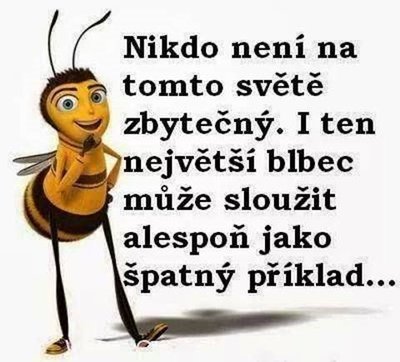 Nikdo neni zbytecny.jpg